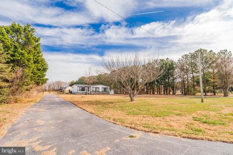 32901 MOUNT PLEASANT ROAD LAUREL DE 19956