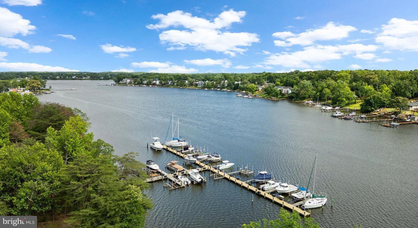 CHESTNUT HILL COVE - Residential