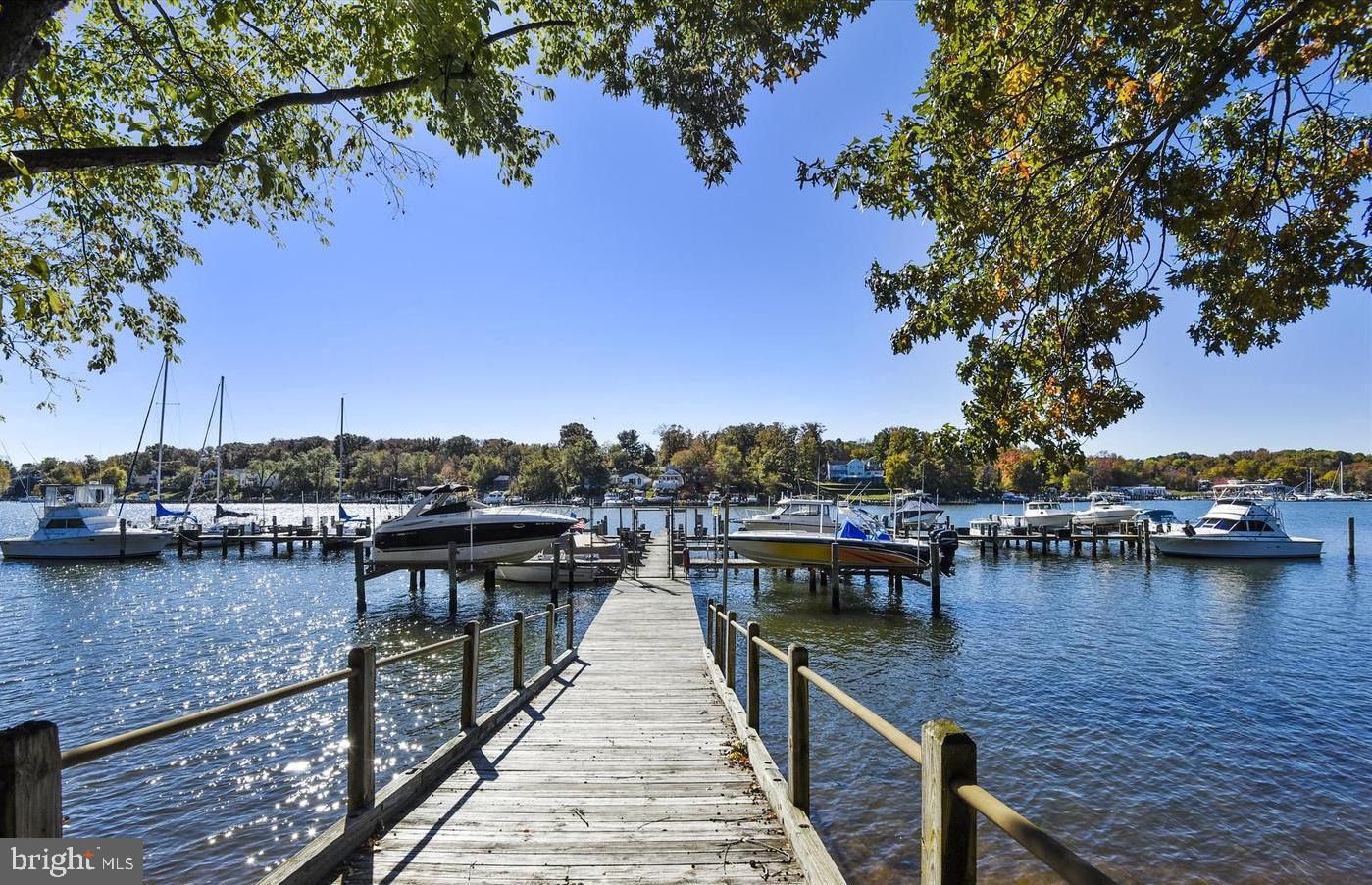 CHESTNUT HILL COVE - Residential