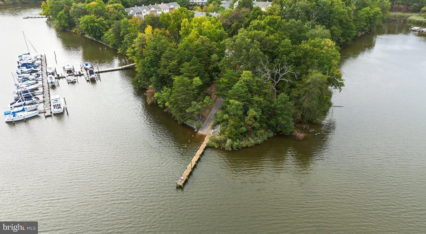 CHESTNUT HILL COVE - Residential