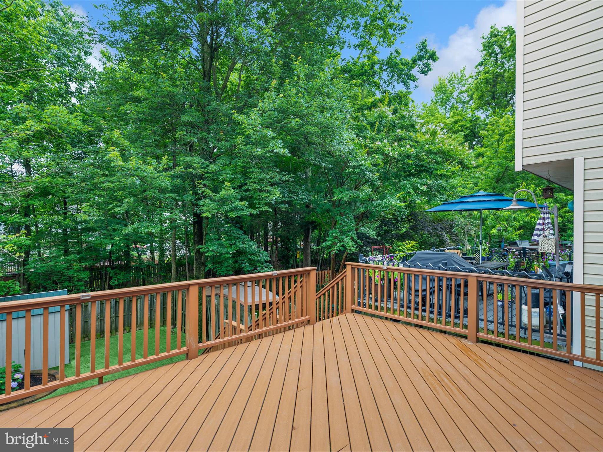 CHESTNUT HILL COVE - Residential