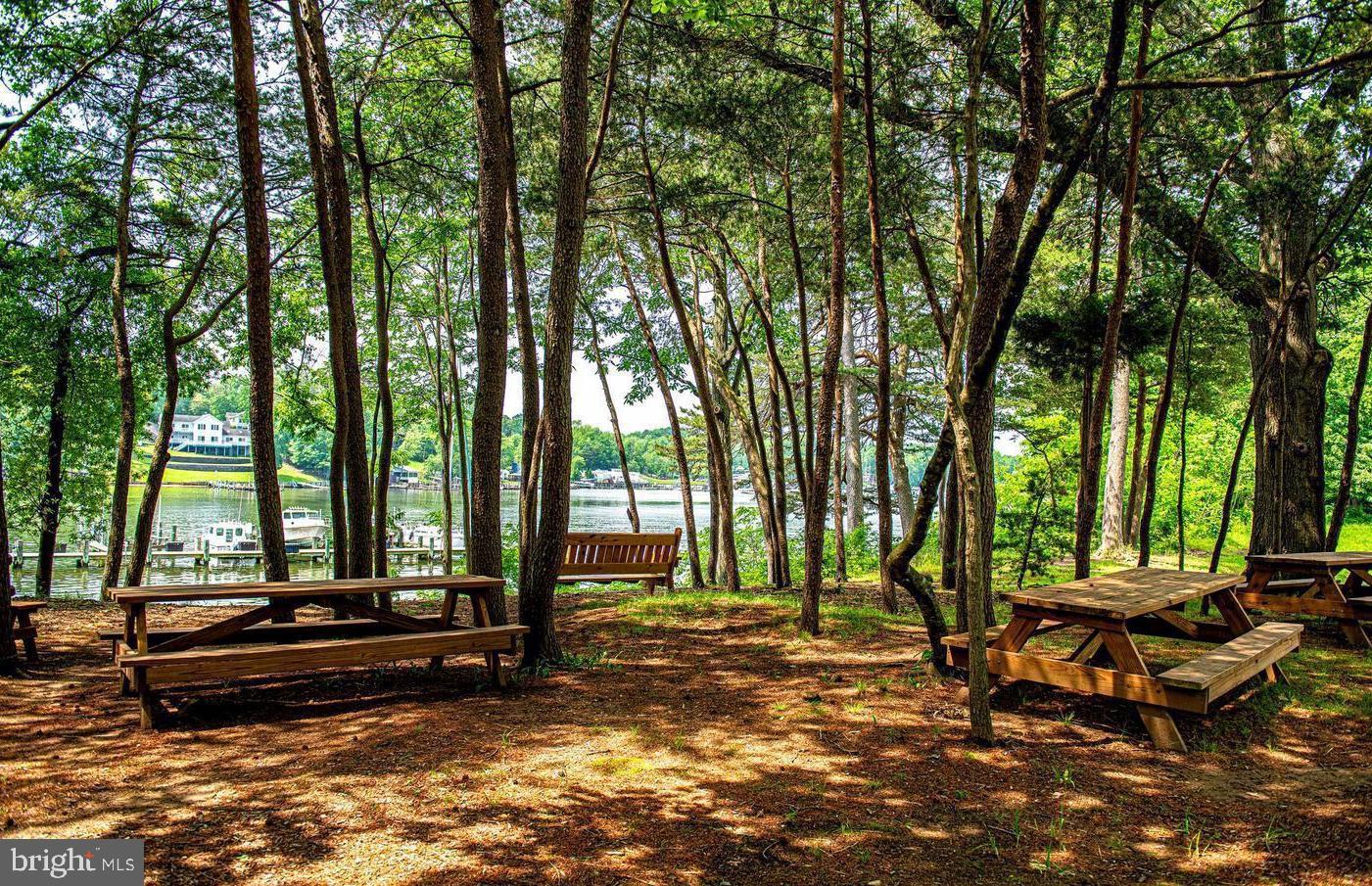 CHESTNUT HILL COVE - Residential