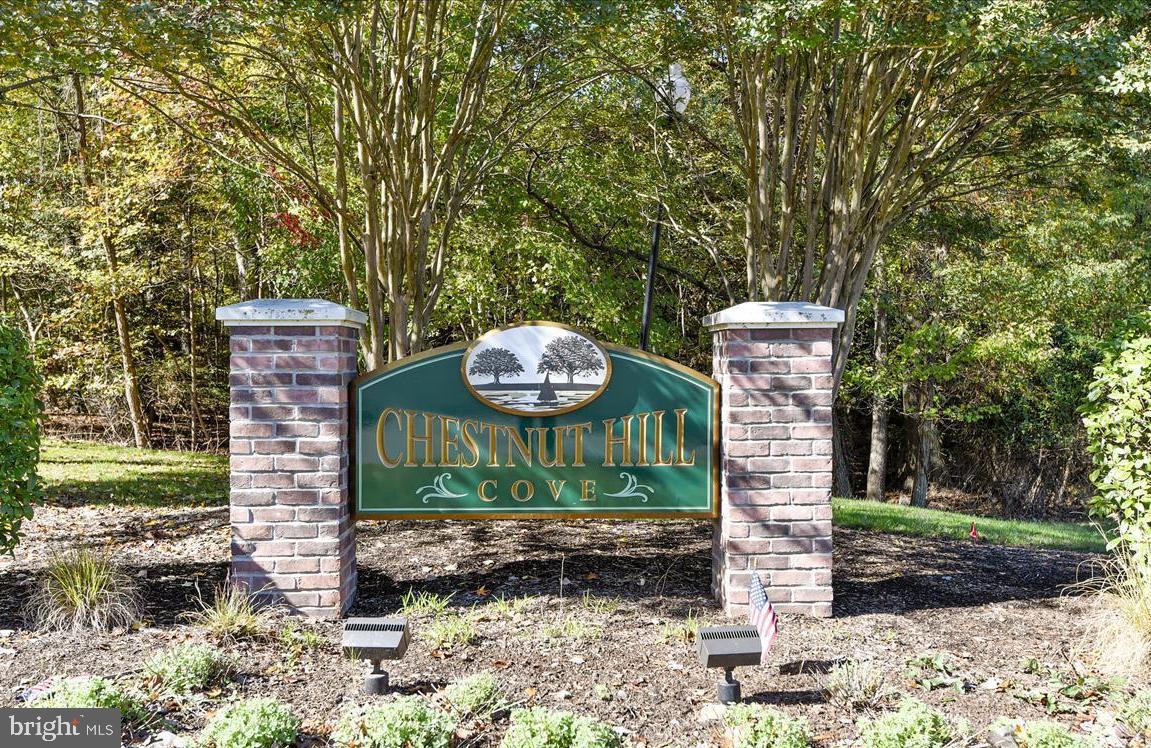 CHESTNUT HILL COVE - Residential