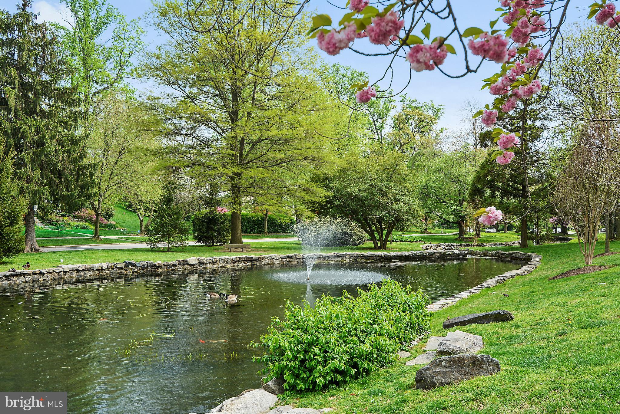 GREATER HOMELAND HISTORIC DISTRICT - Residential