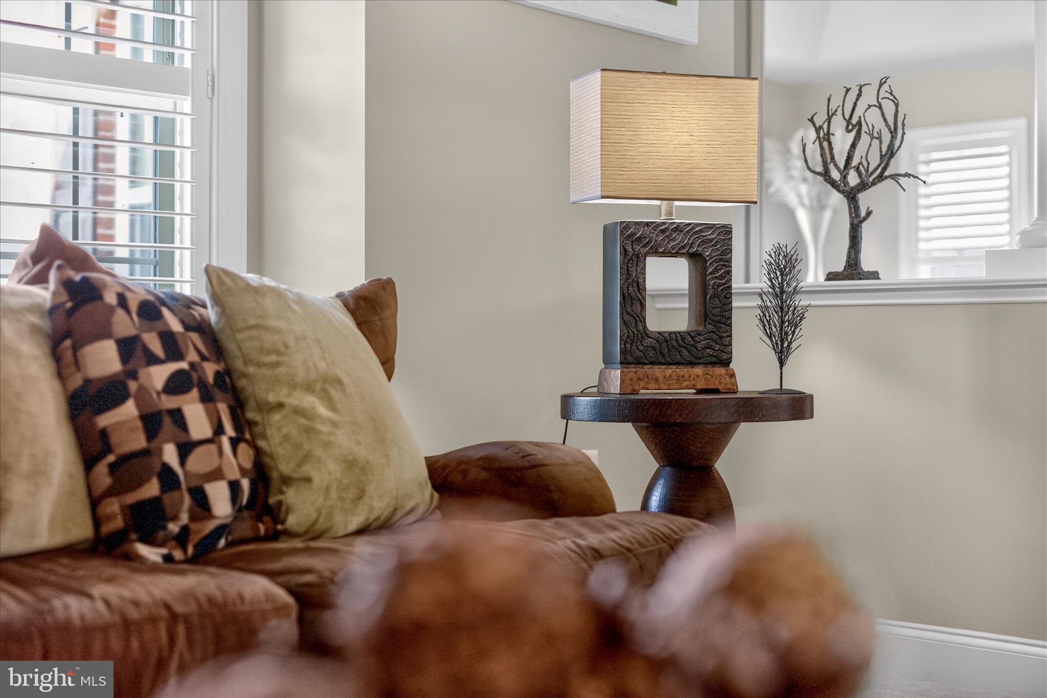 CLARKSBURG VILLAGE - Residential