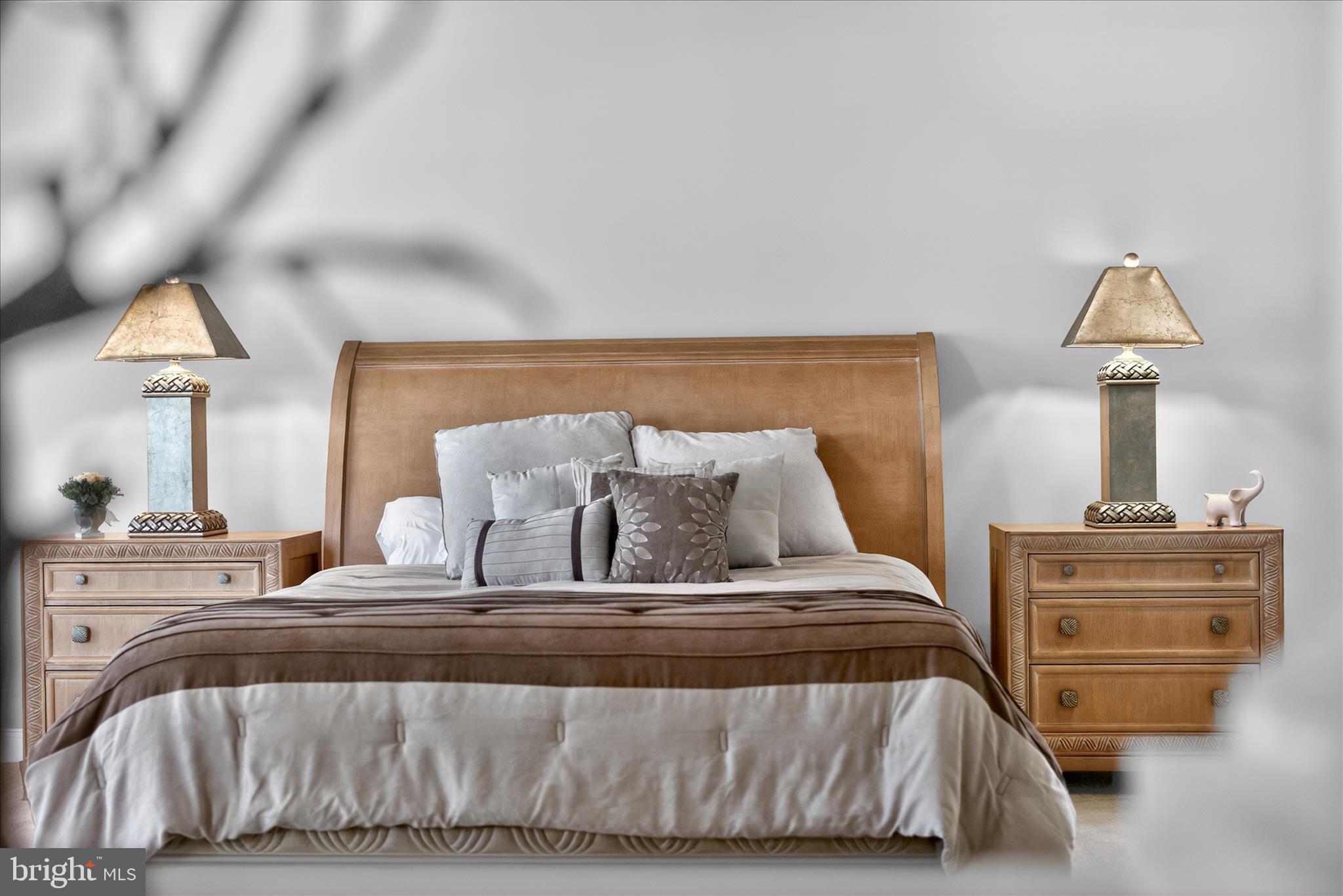 CLARKSBURG VILLAGE - Residential