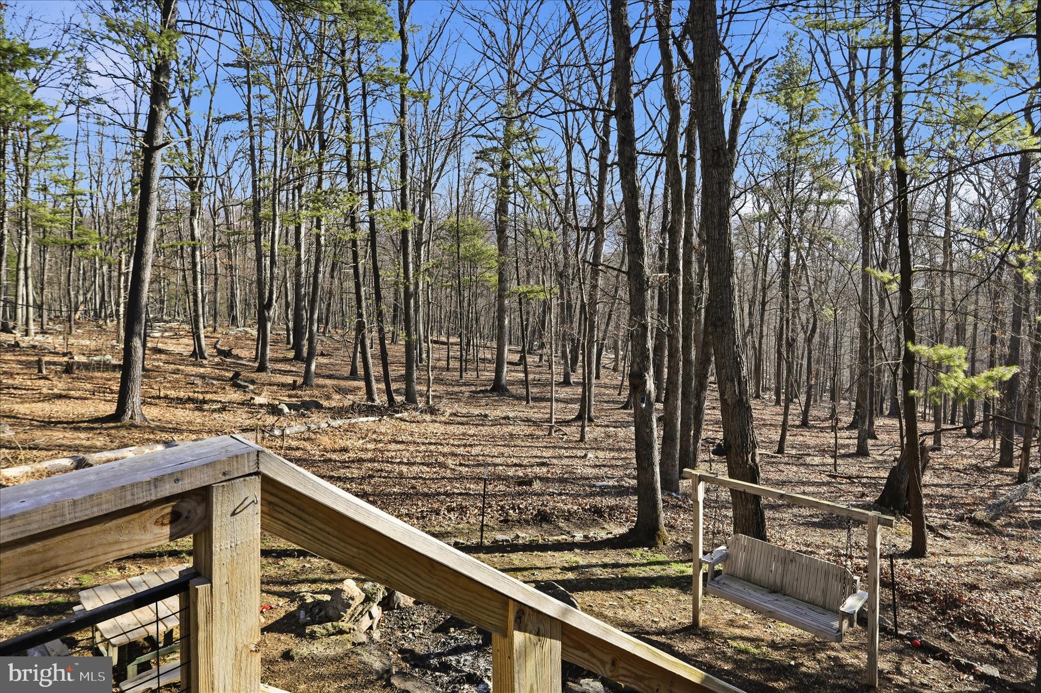 CACAPON RIVER RAPIDS - Residential