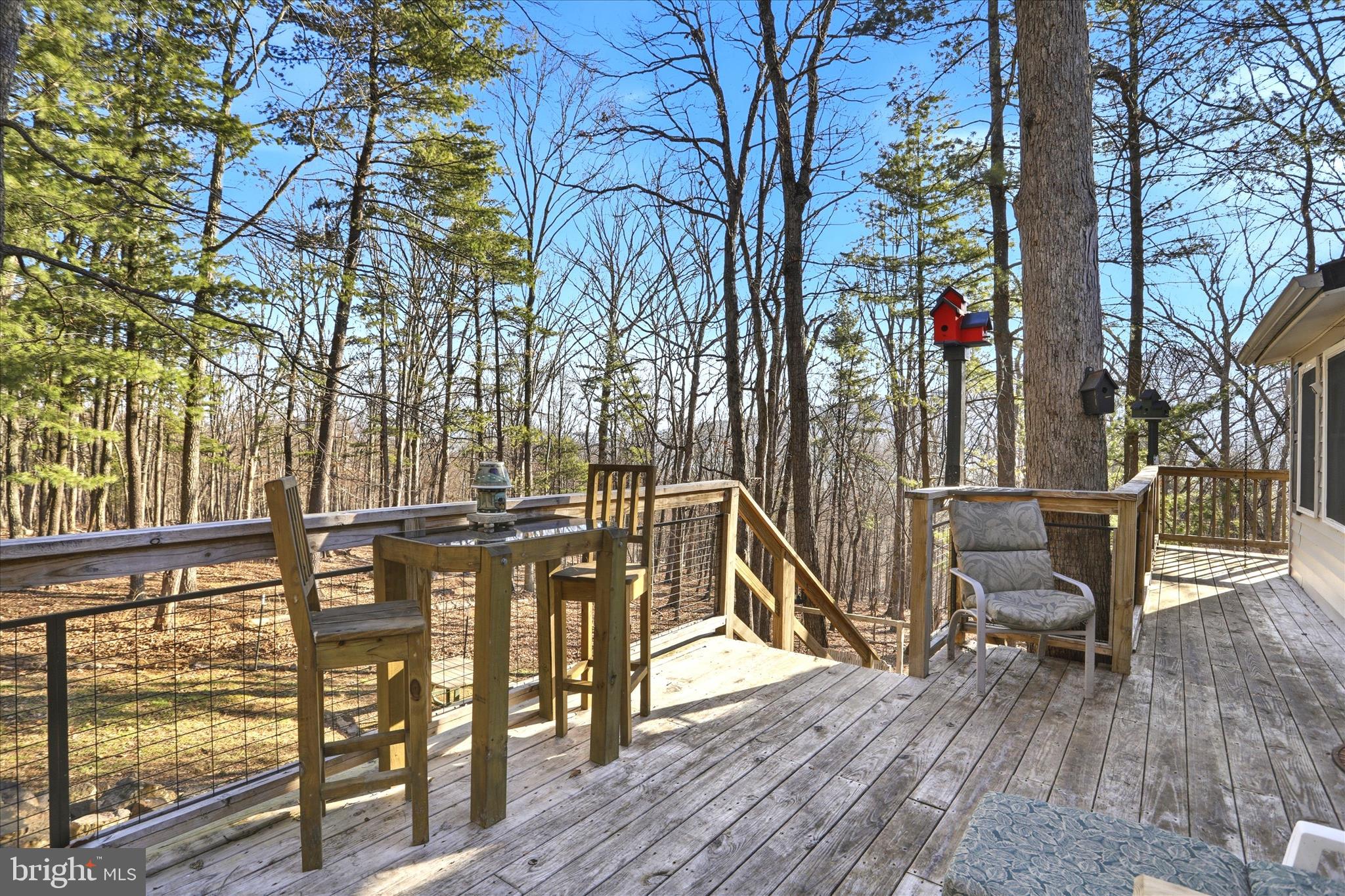 CACAPON RIVER RAPIDS - Residential