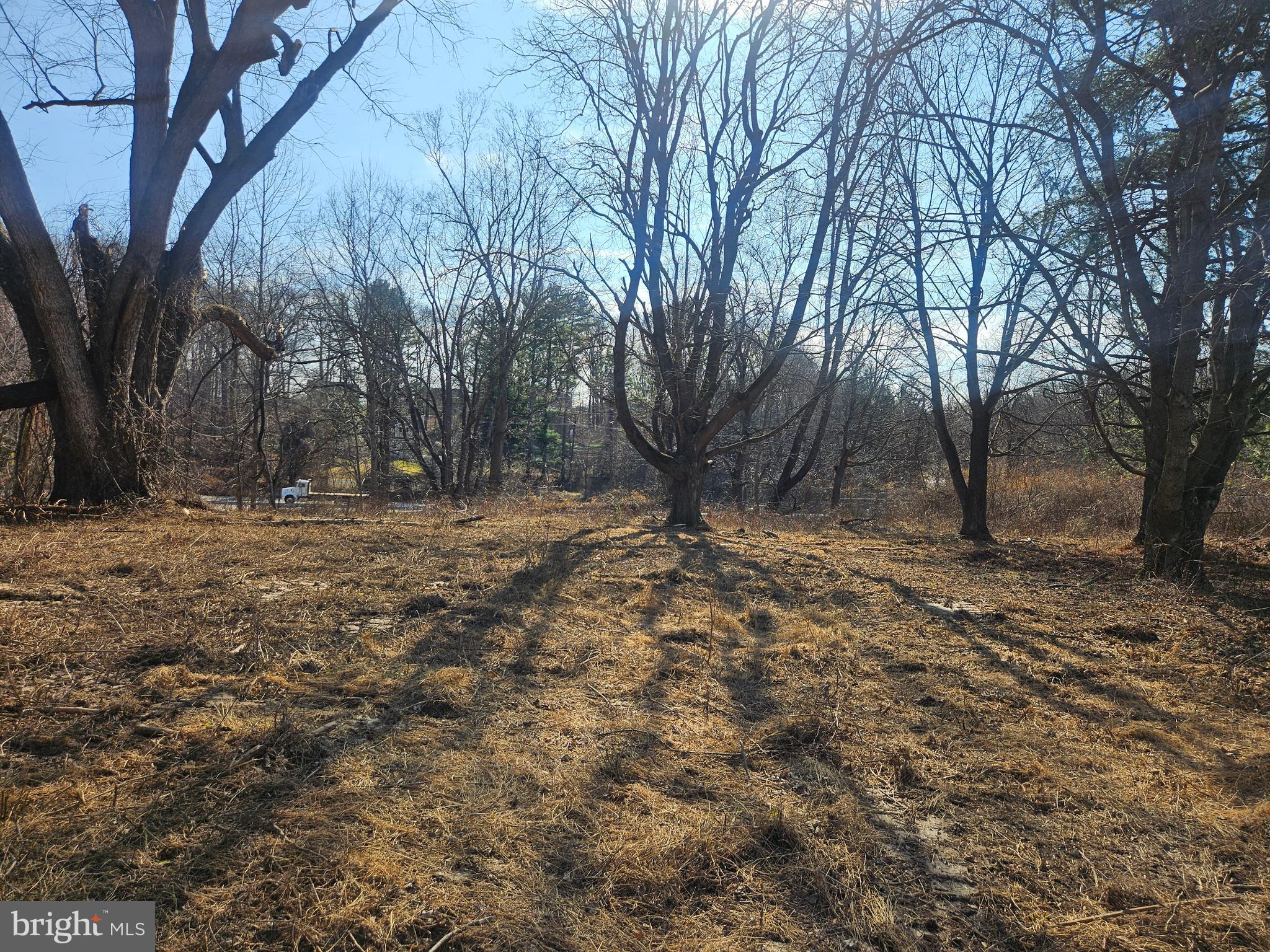 12701 LIVESTOCK ROAD