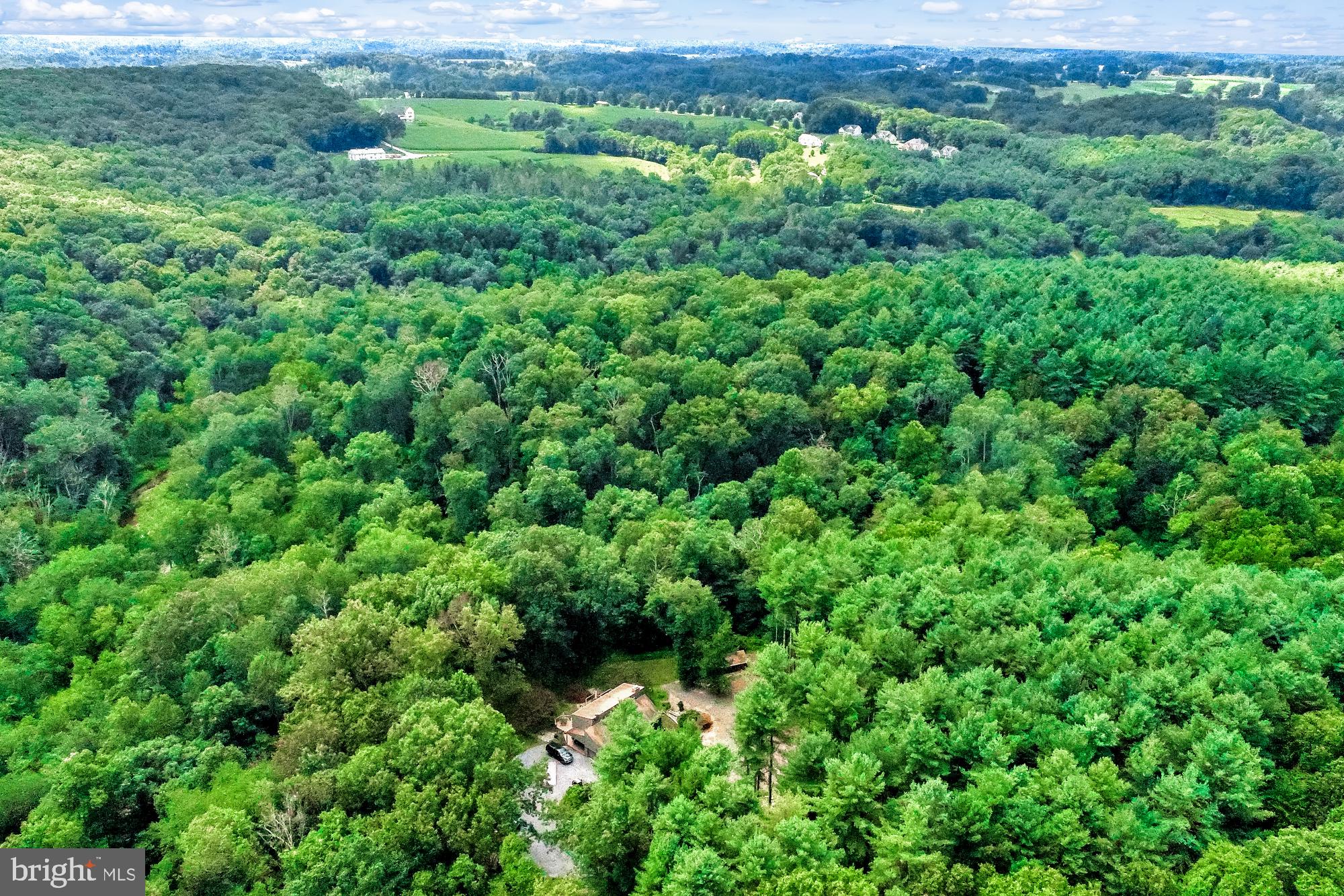 PRETTYBOY - Residential