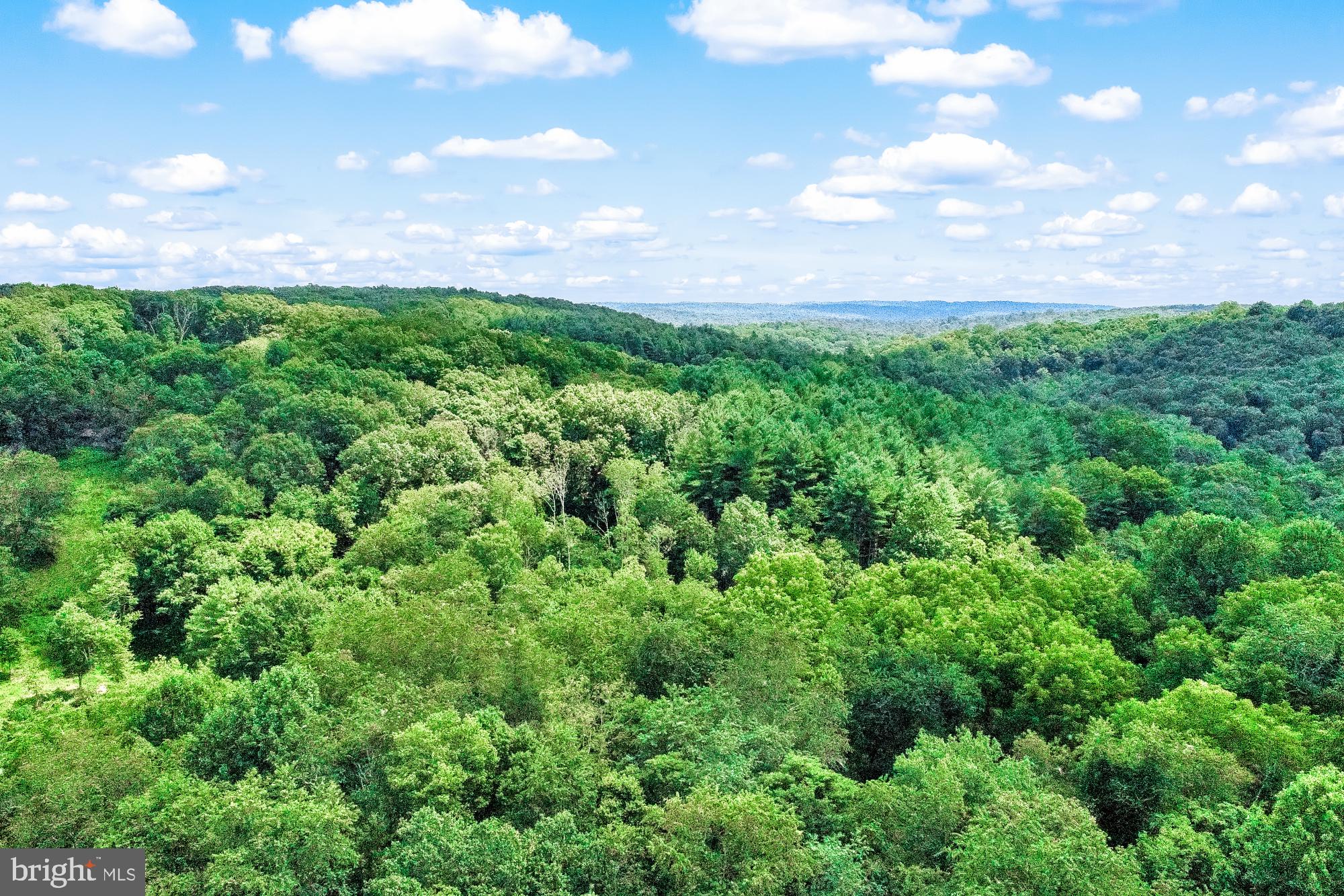 PRETTYBOY - Residential