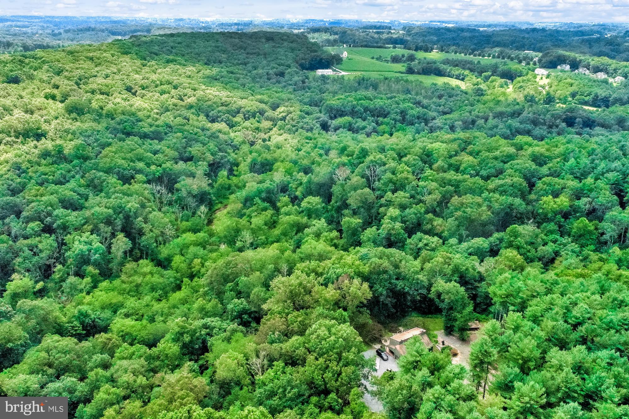 PRETTYBOY - Residential