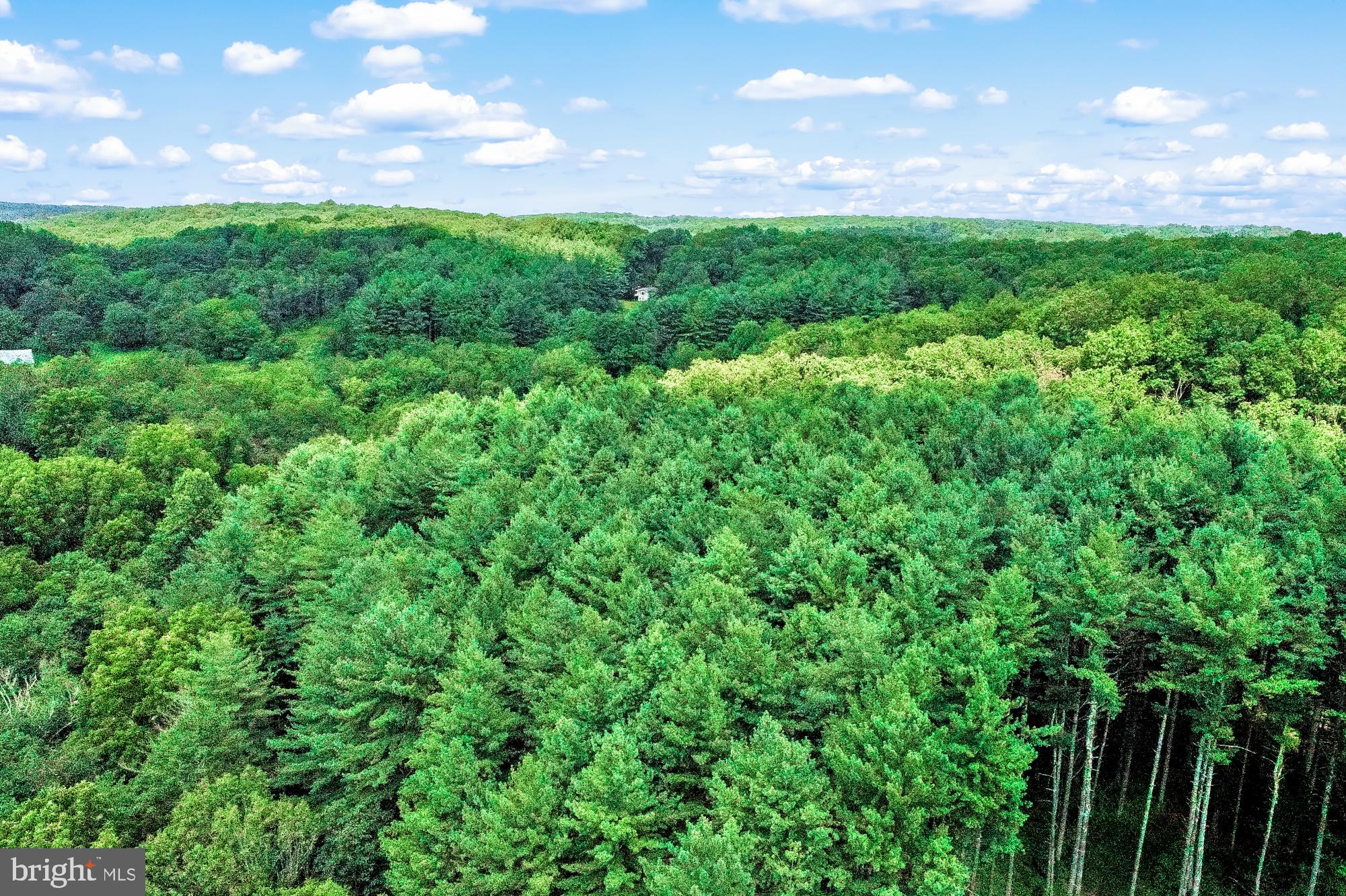 PRETTYBOY - Residential