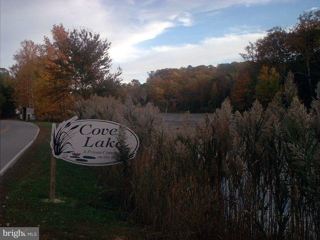 COVE LAKE - Land