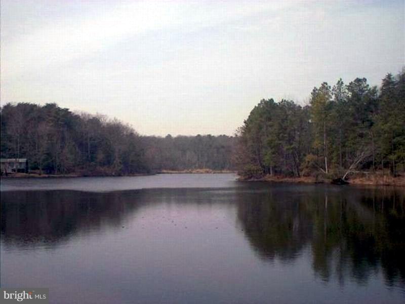 COVE LAKE - Land
