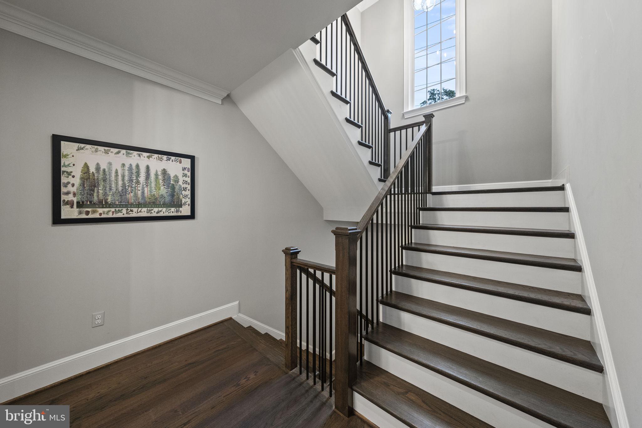 COBBS GROVE - Residential