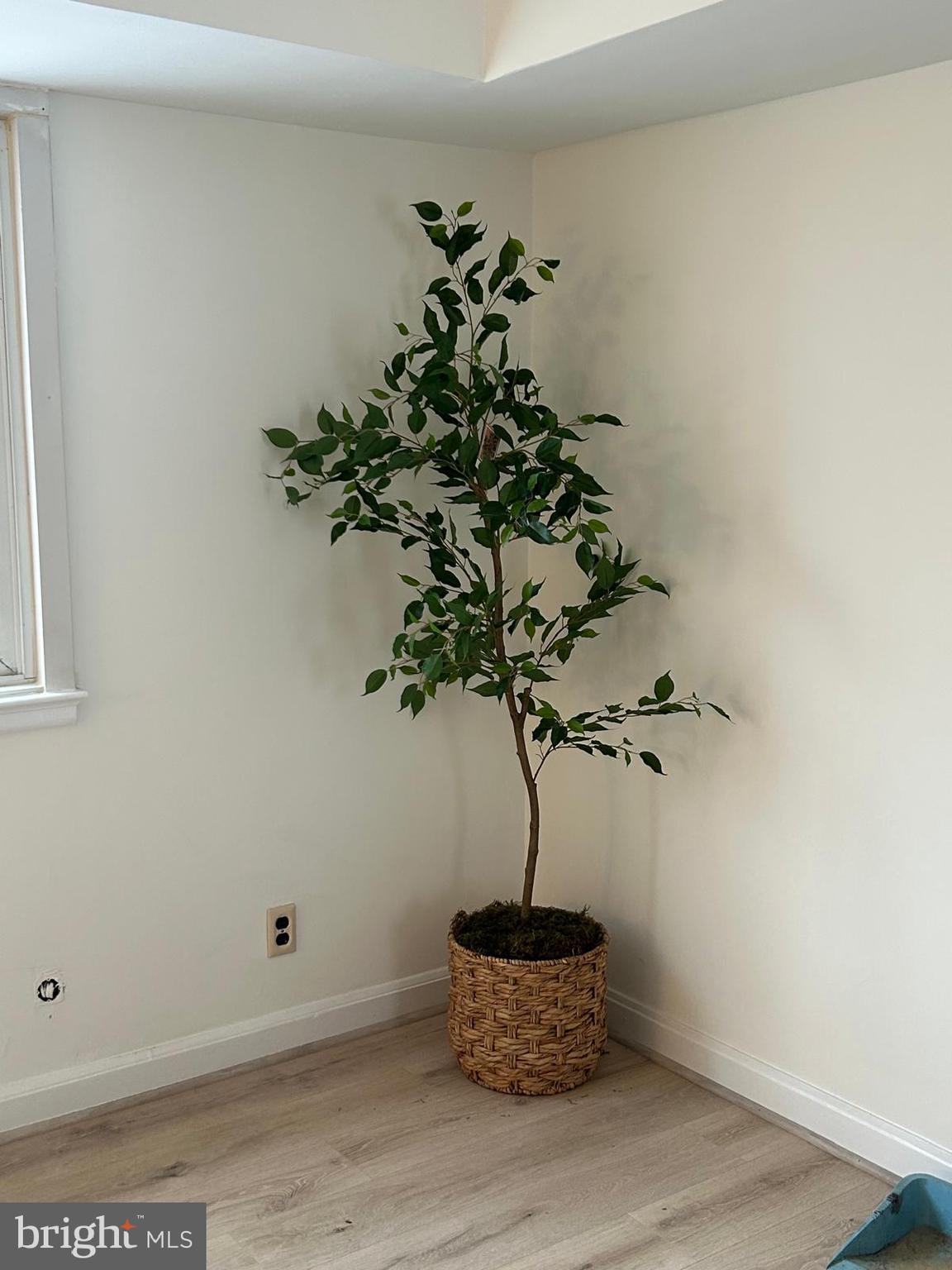 TOP OF THE PARK - Residential