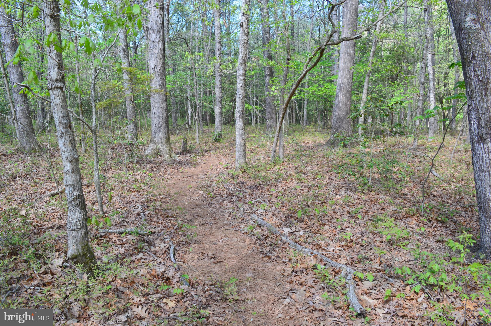 MISTY CREEK - Residential