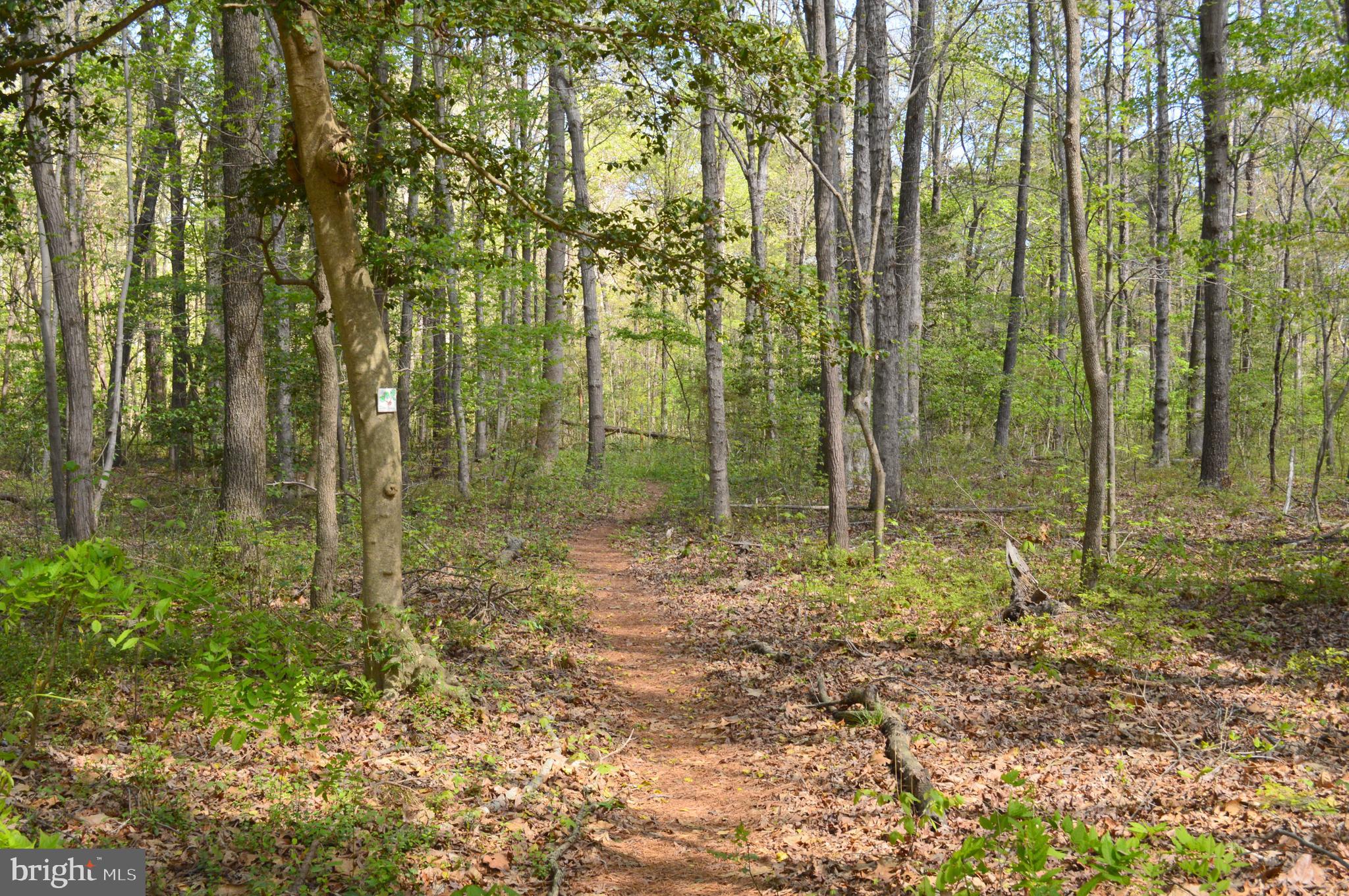 MISTY CREEK - Residential