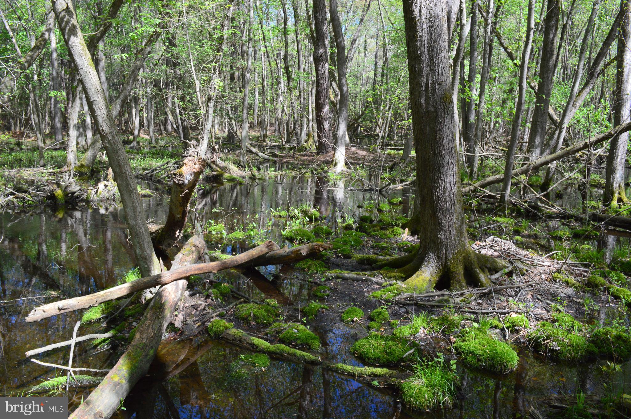 MISTY CREEK - Residential