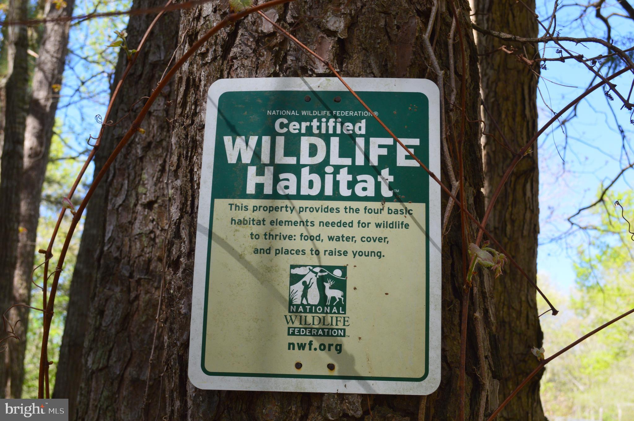 MISTY CREEK - Residential