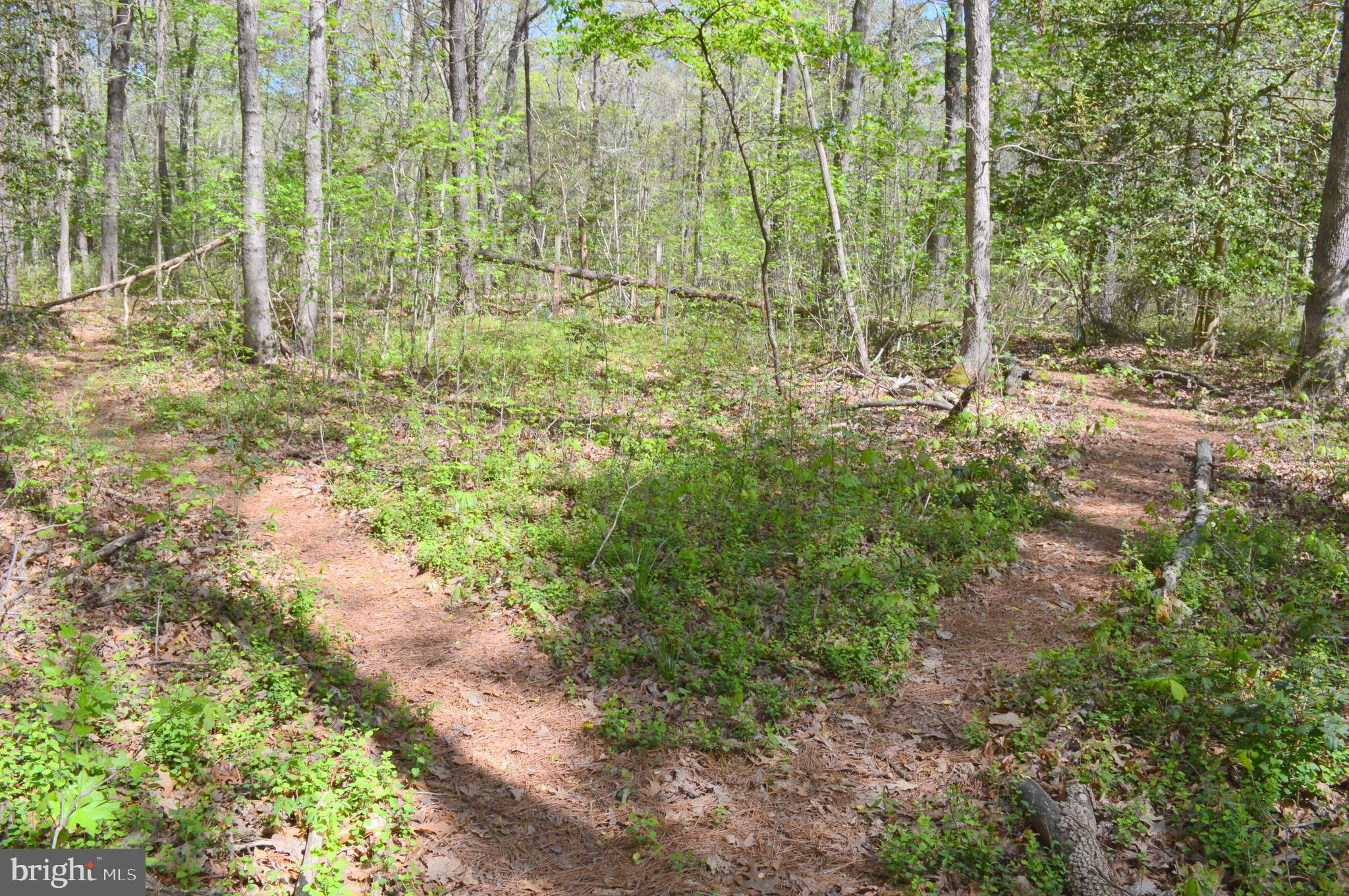 MISTY CREEK - Residential