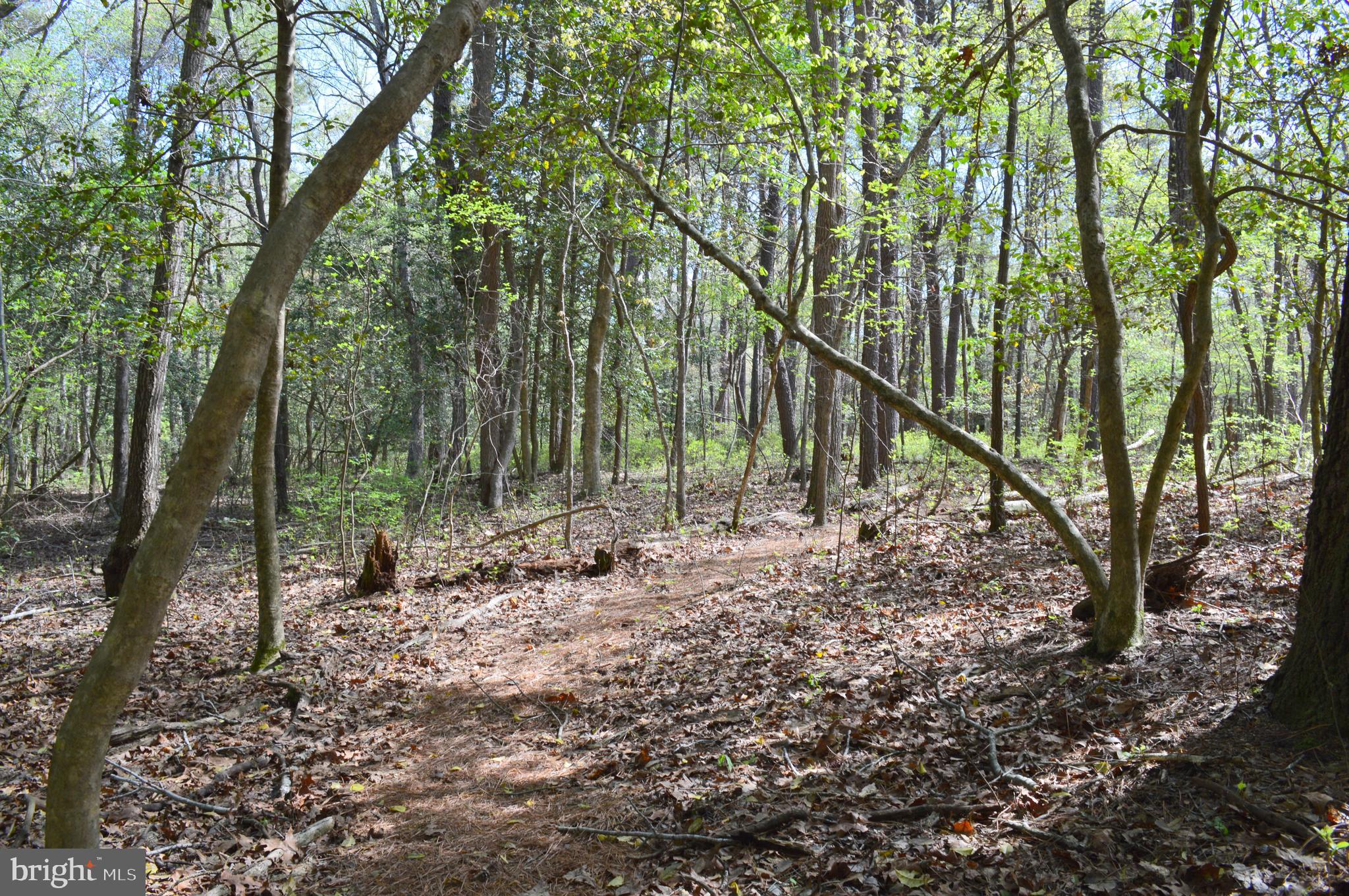 MISTY CREEK - Residential