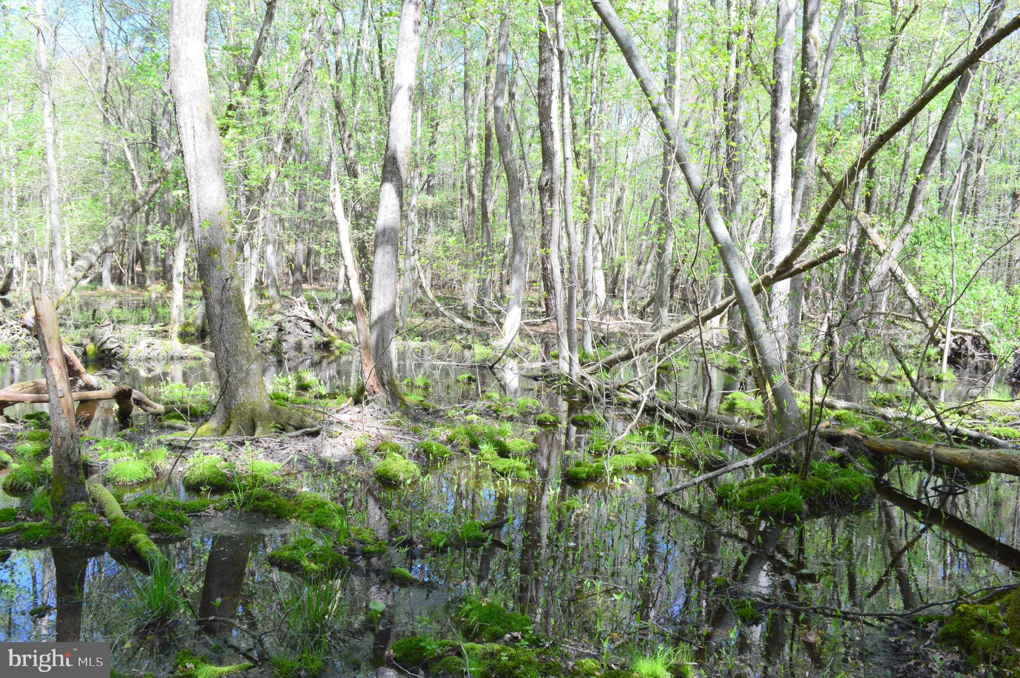 MISTY CREEK - Residential