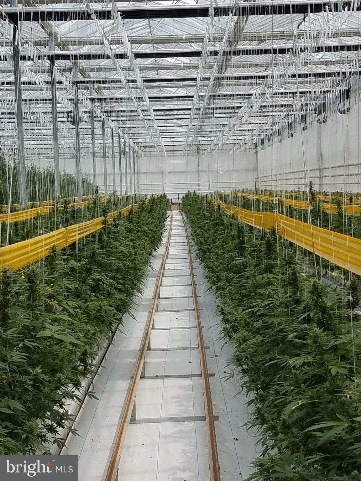 NONE AVAILABLE - Commercial Sale