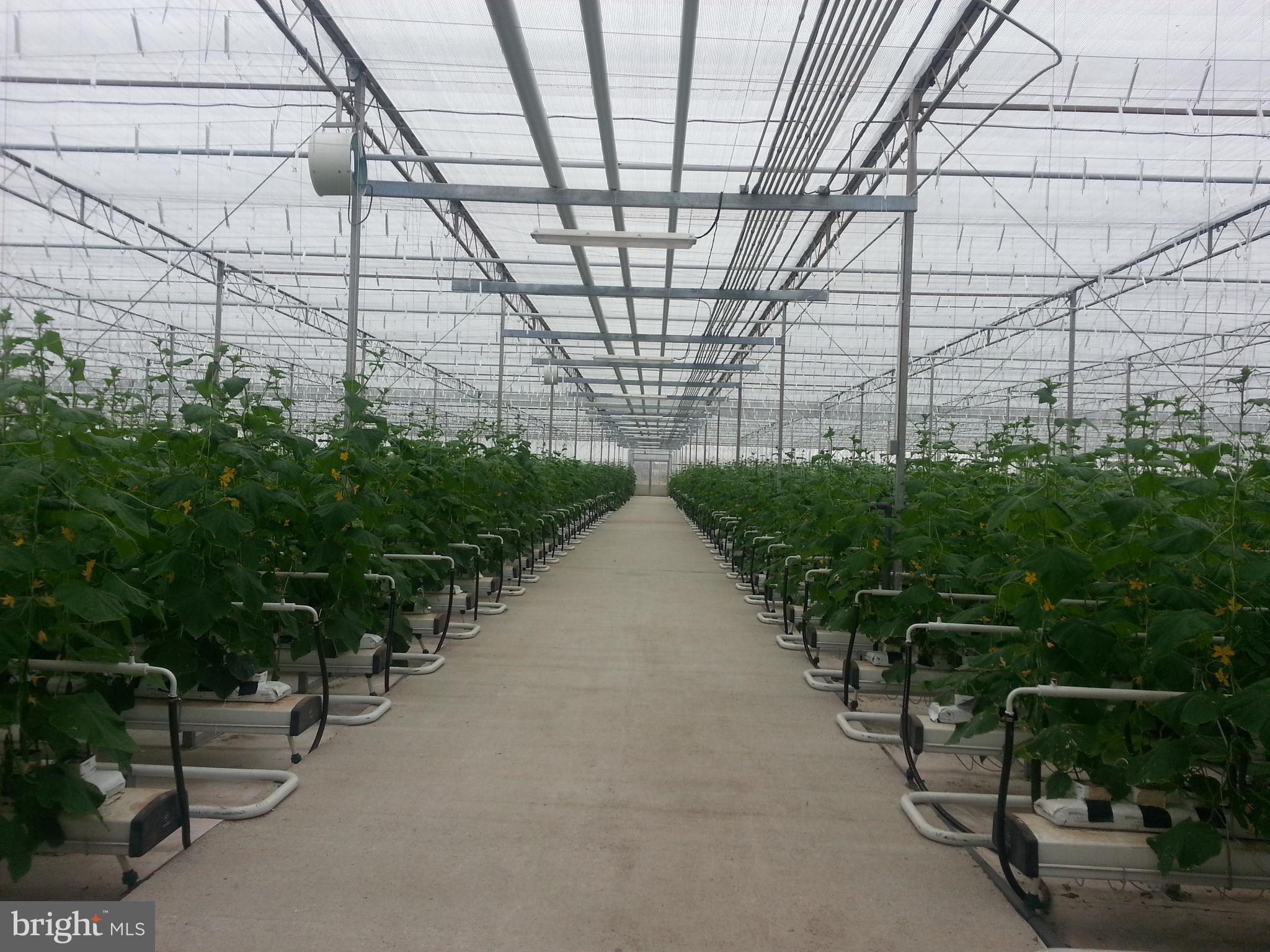 NONE AVAILABLE - Commercial Sale