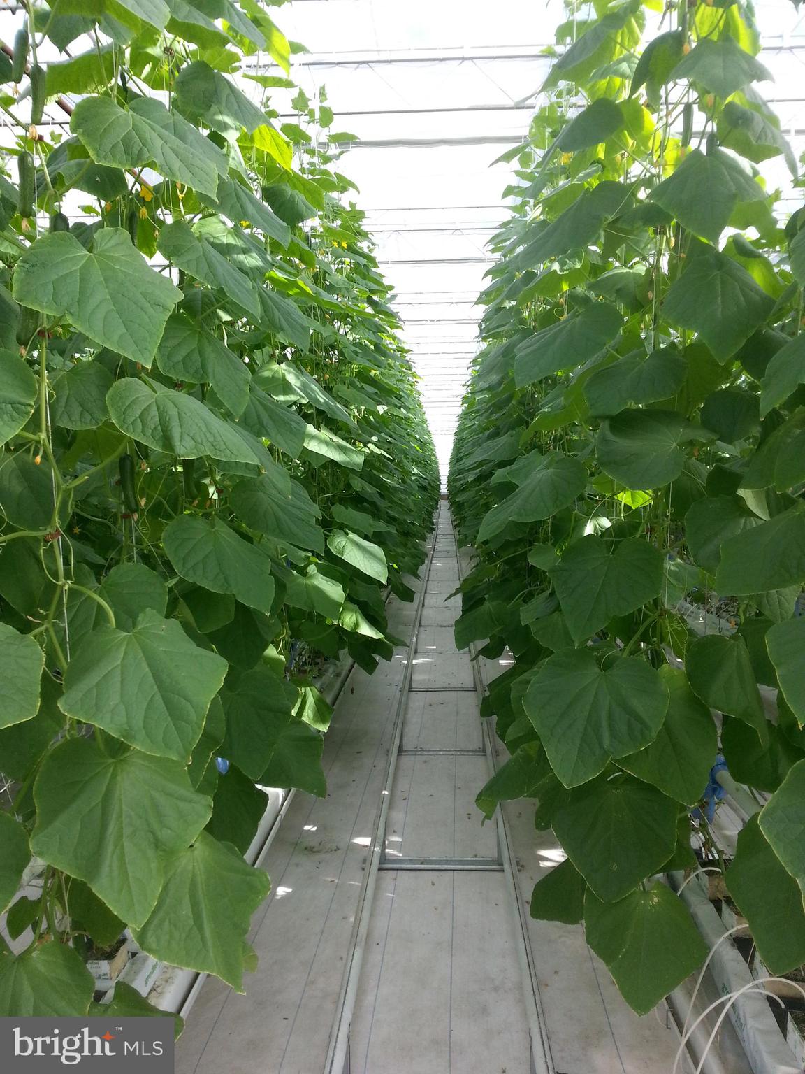 NONE AVAILABLE - Commercial Sale