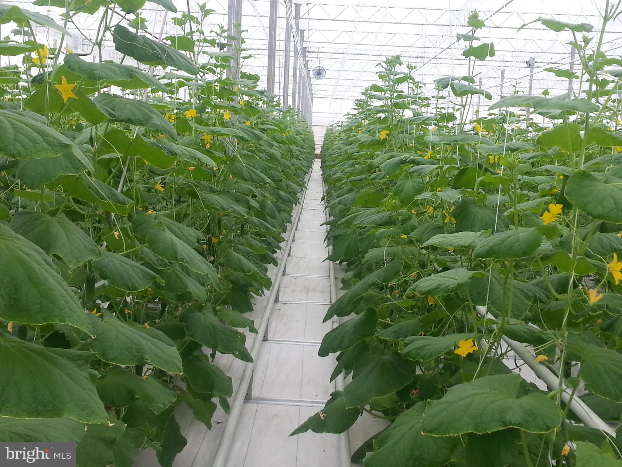 NONE AVAILABLE - Commercial Sale