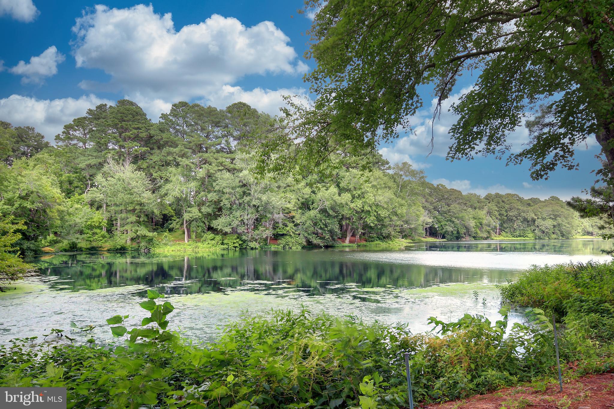 MORRIS ACRES - Residential