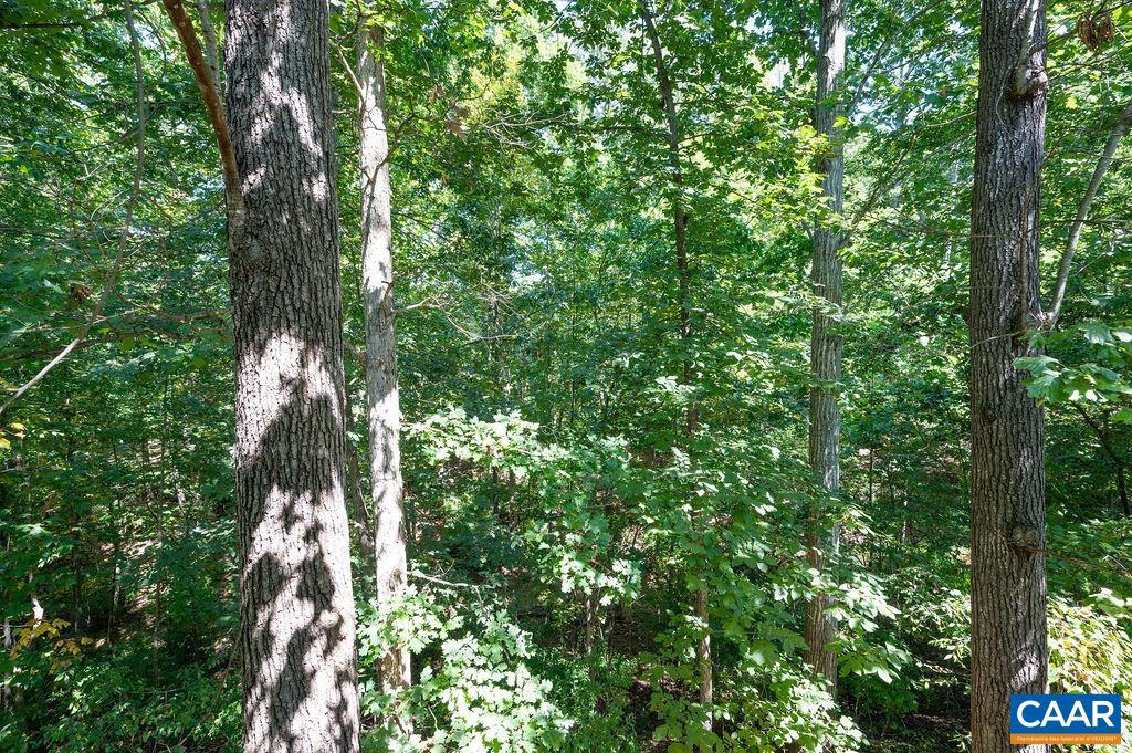 LAKE REYNOVIA - Residential