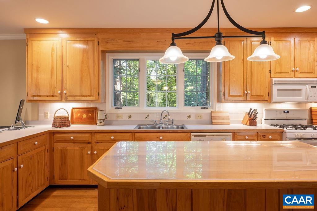 LAKE REYNOVIA - Residential