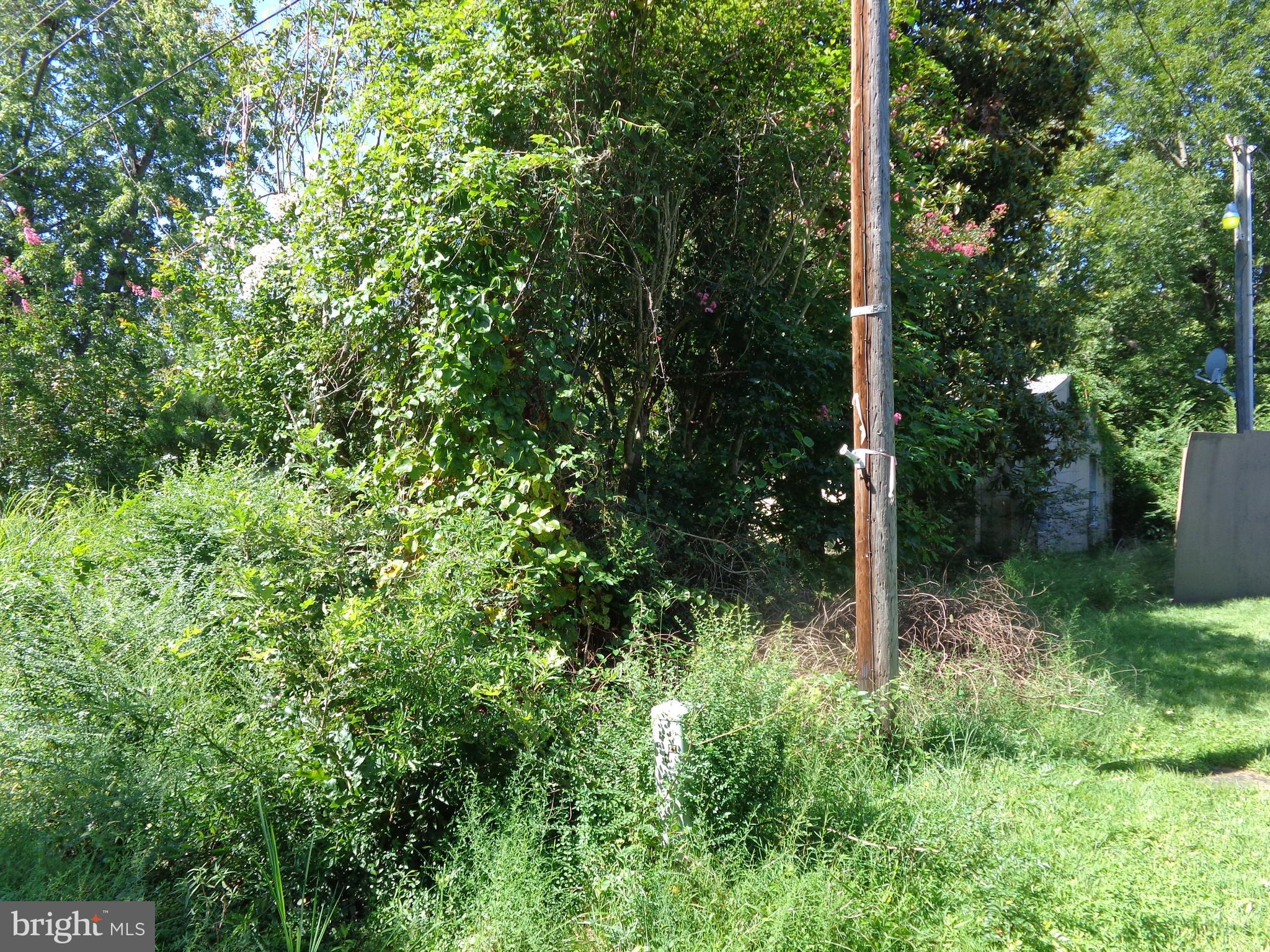 WESTMORELAND SHORES - Land