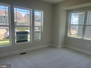 10083 SHENANDOAH LANE