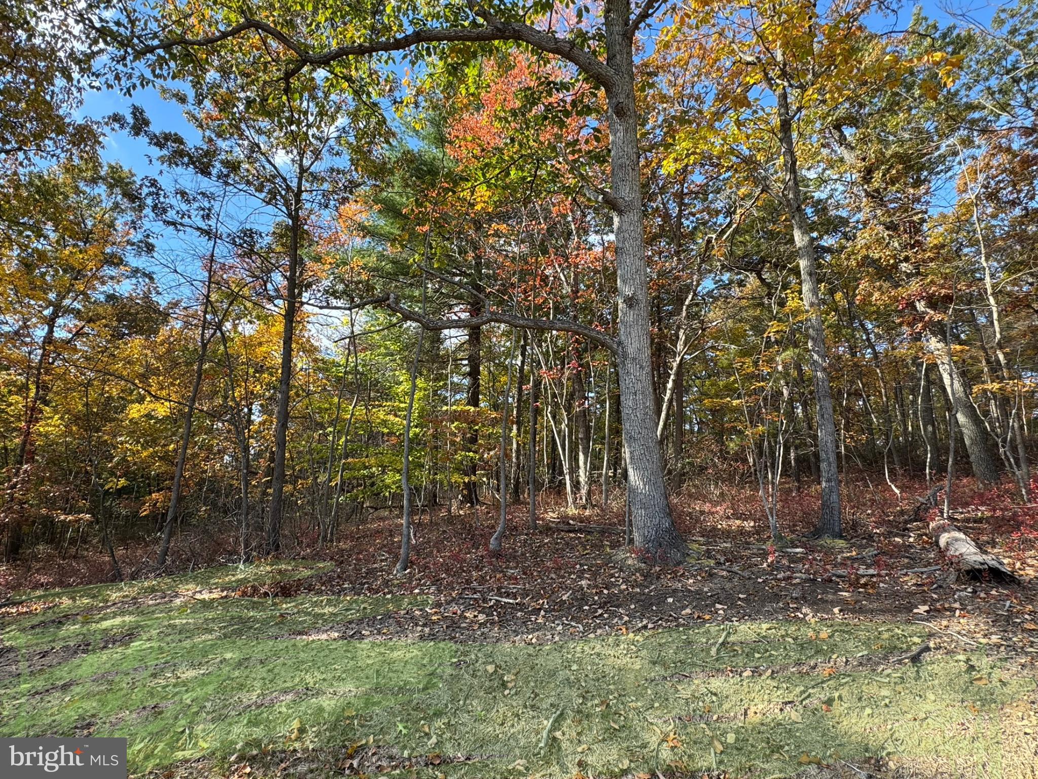 SHENANDOAH FARMS - Residential