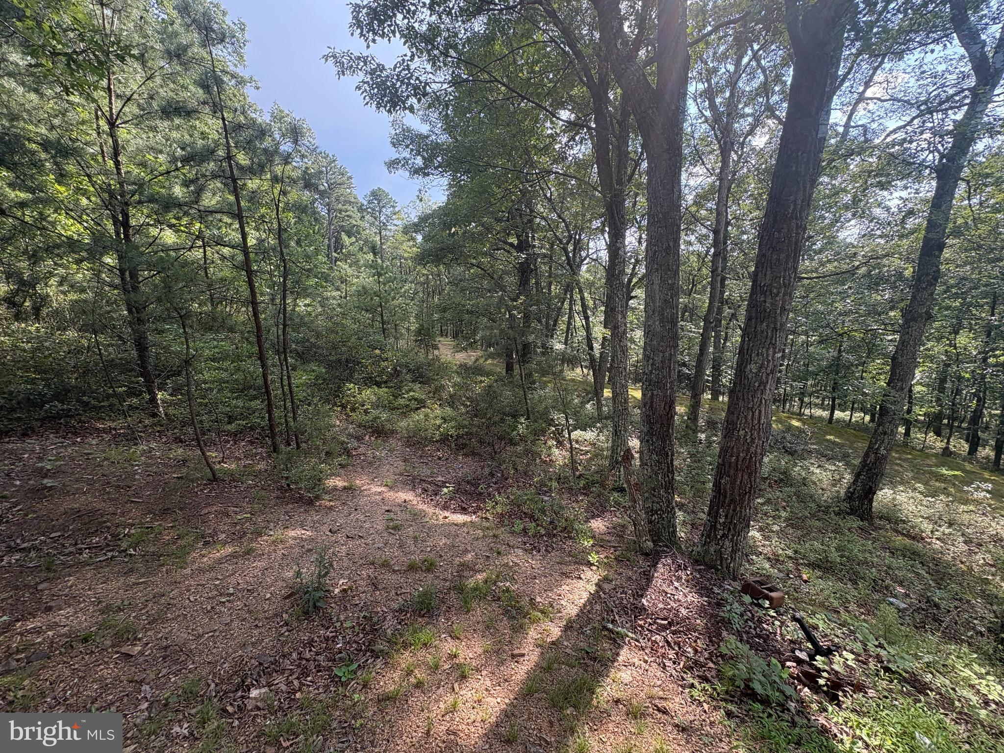 PINE RIDGE RANCHETTES - Residential