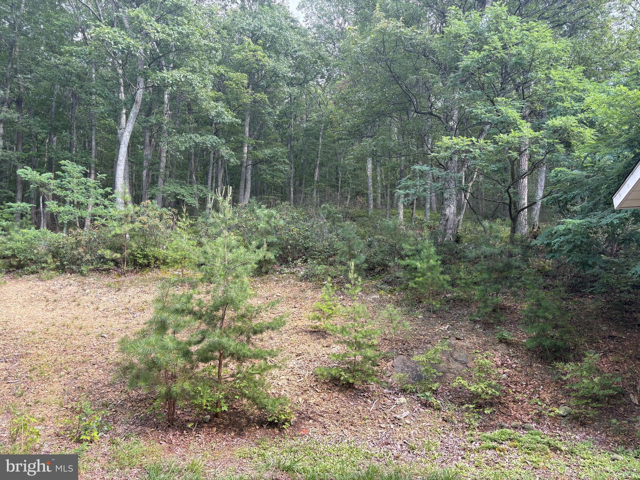 PINE RIDGE RANCHETTES - Residential