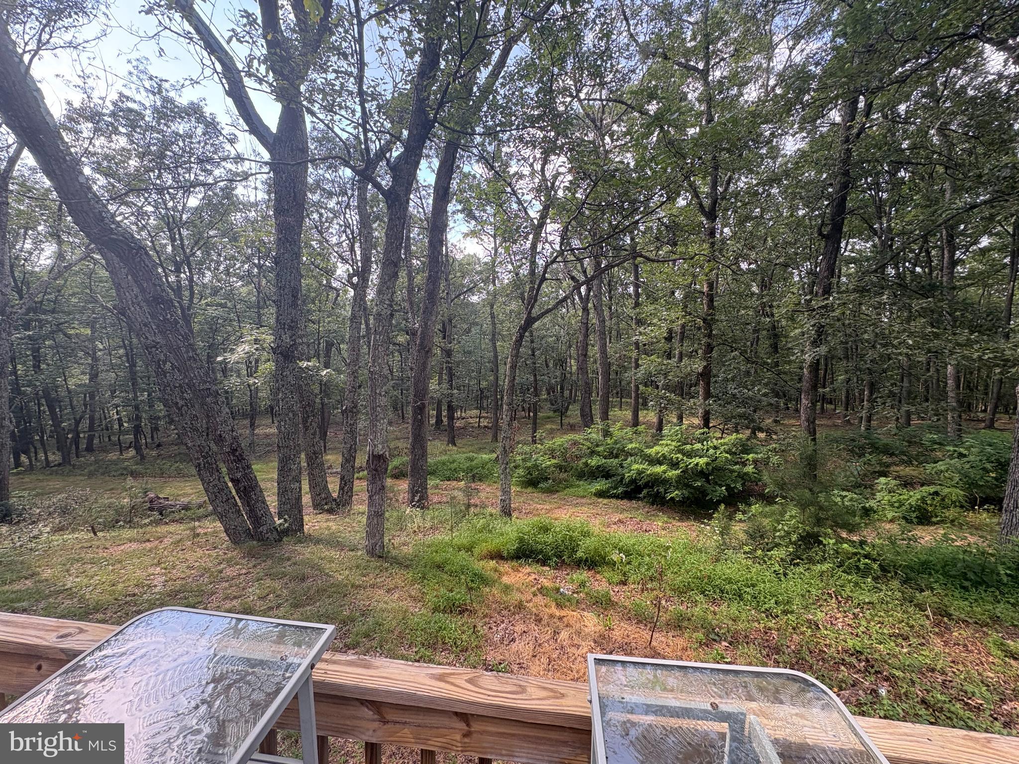 PINE RIDGE RANCHETTES - Residential