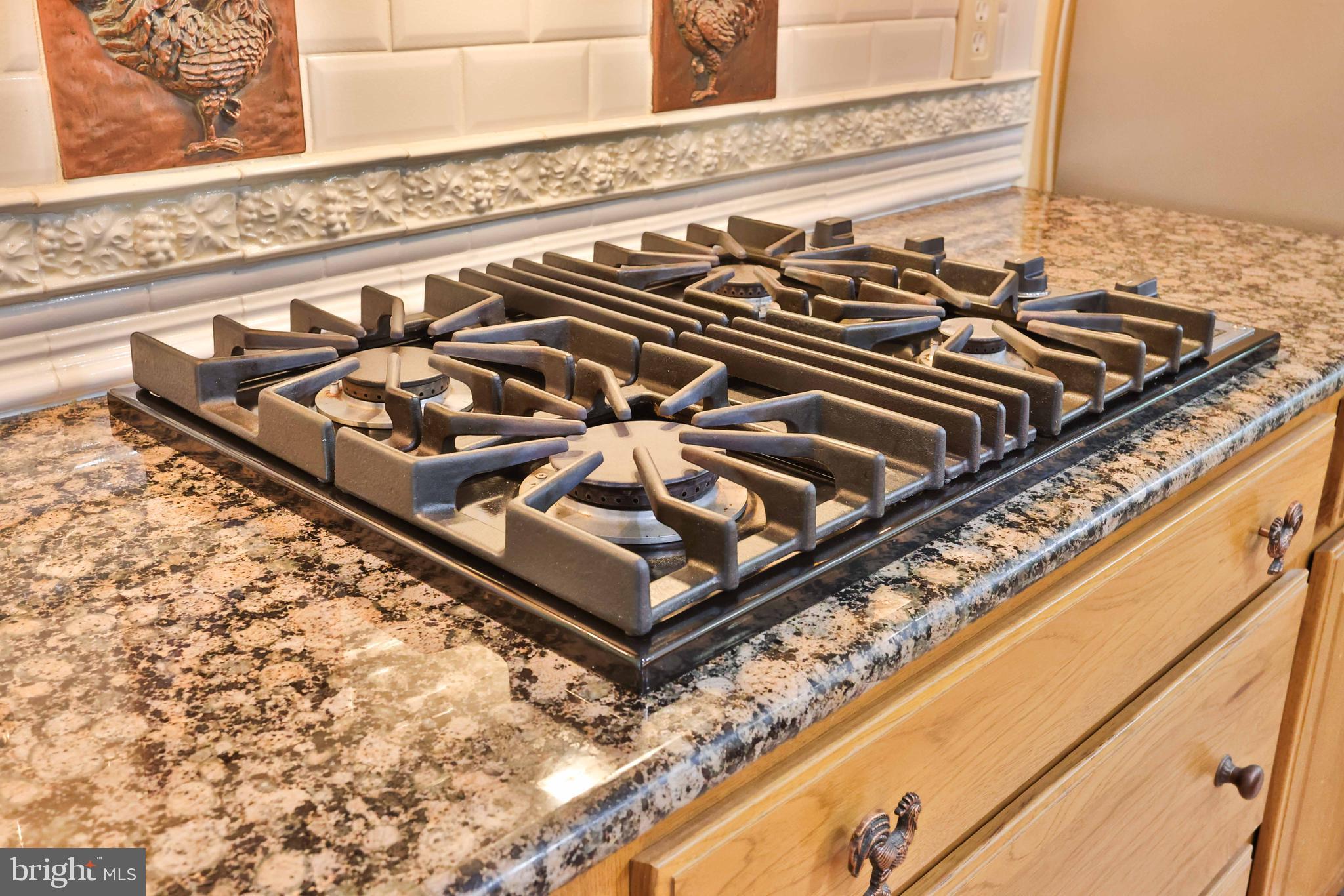 ESTATES OF CHANCELLORSVILLE - Residential