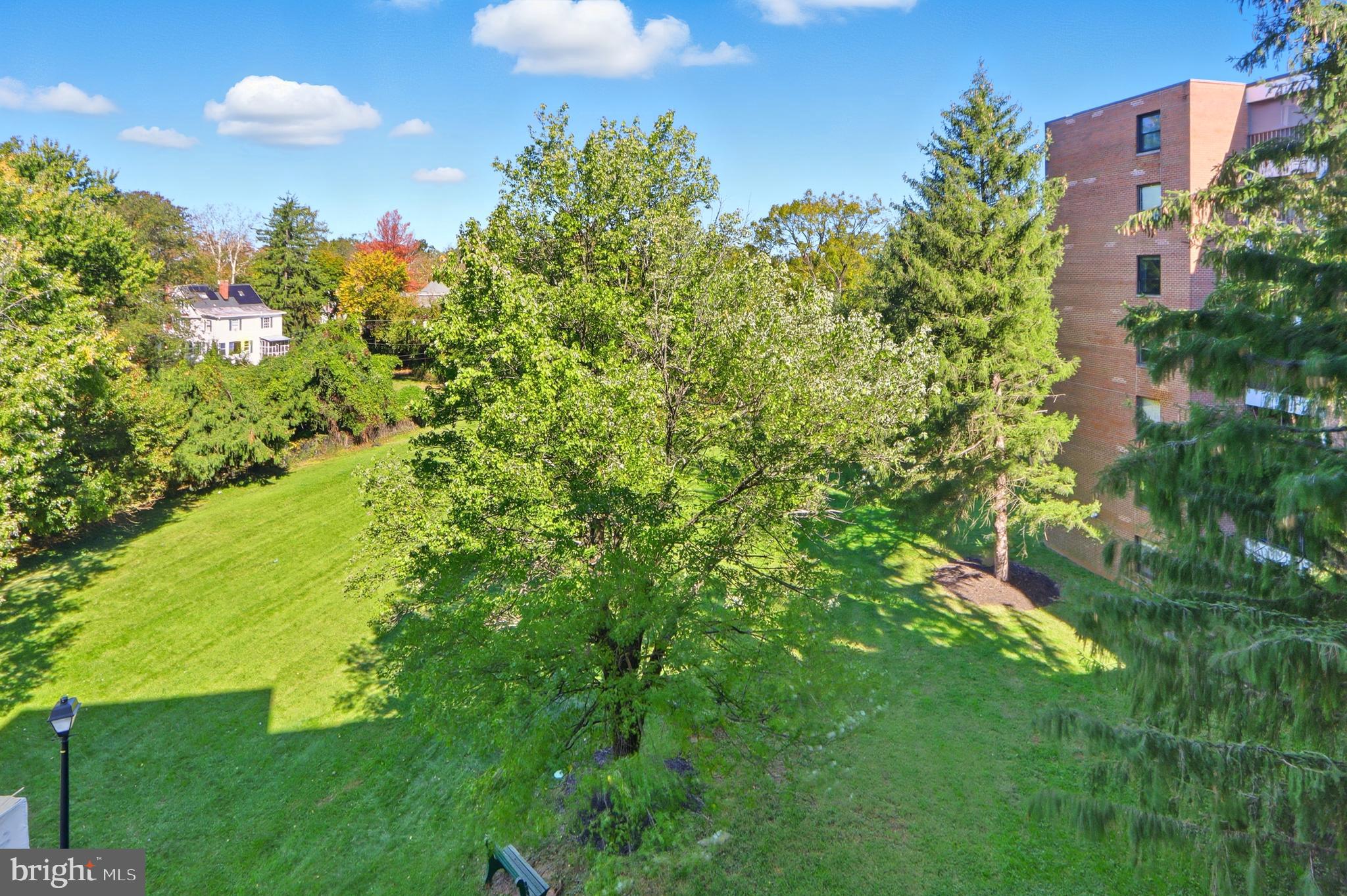 THE ELMONT - Residential