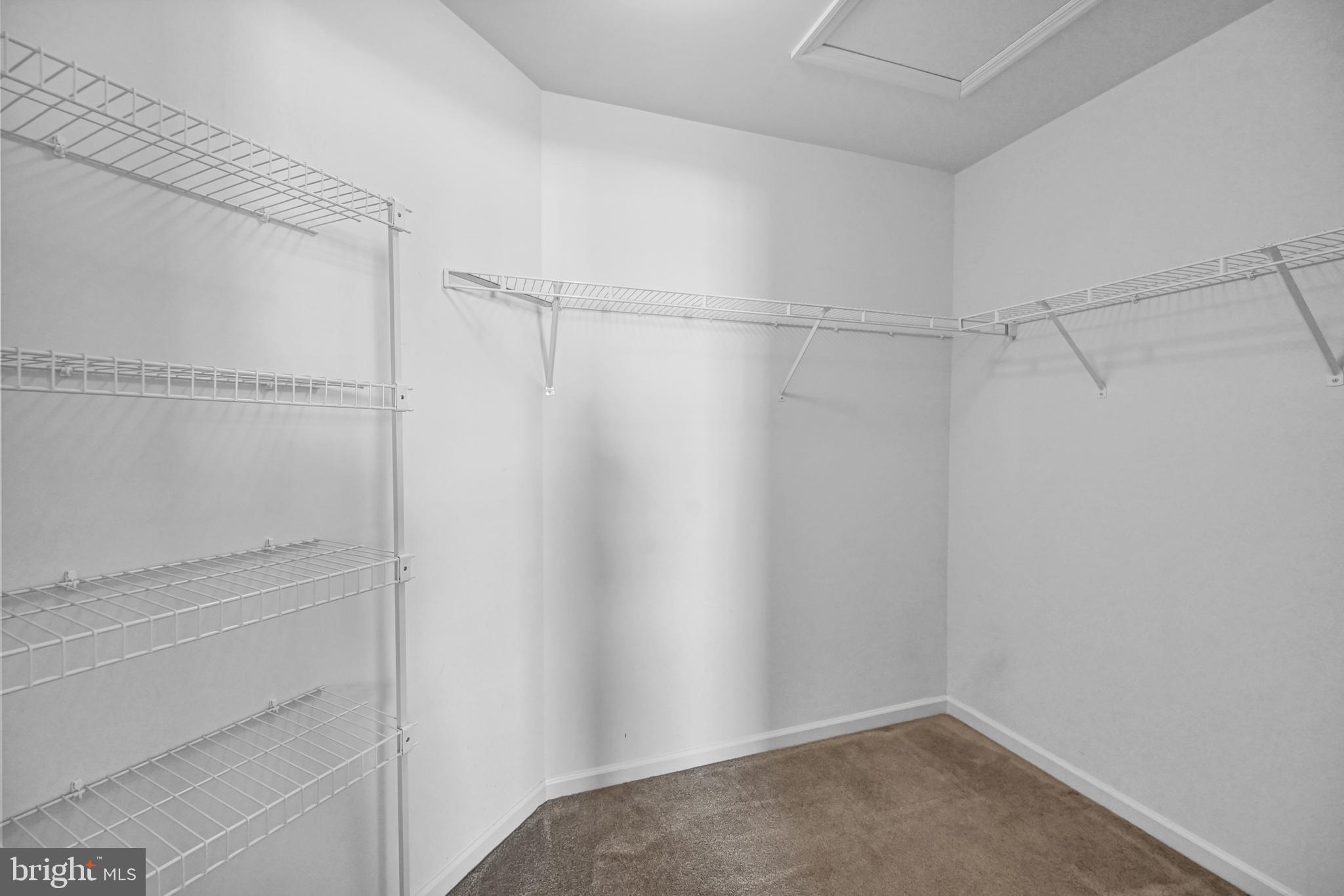 LOCUST RUN - Residential