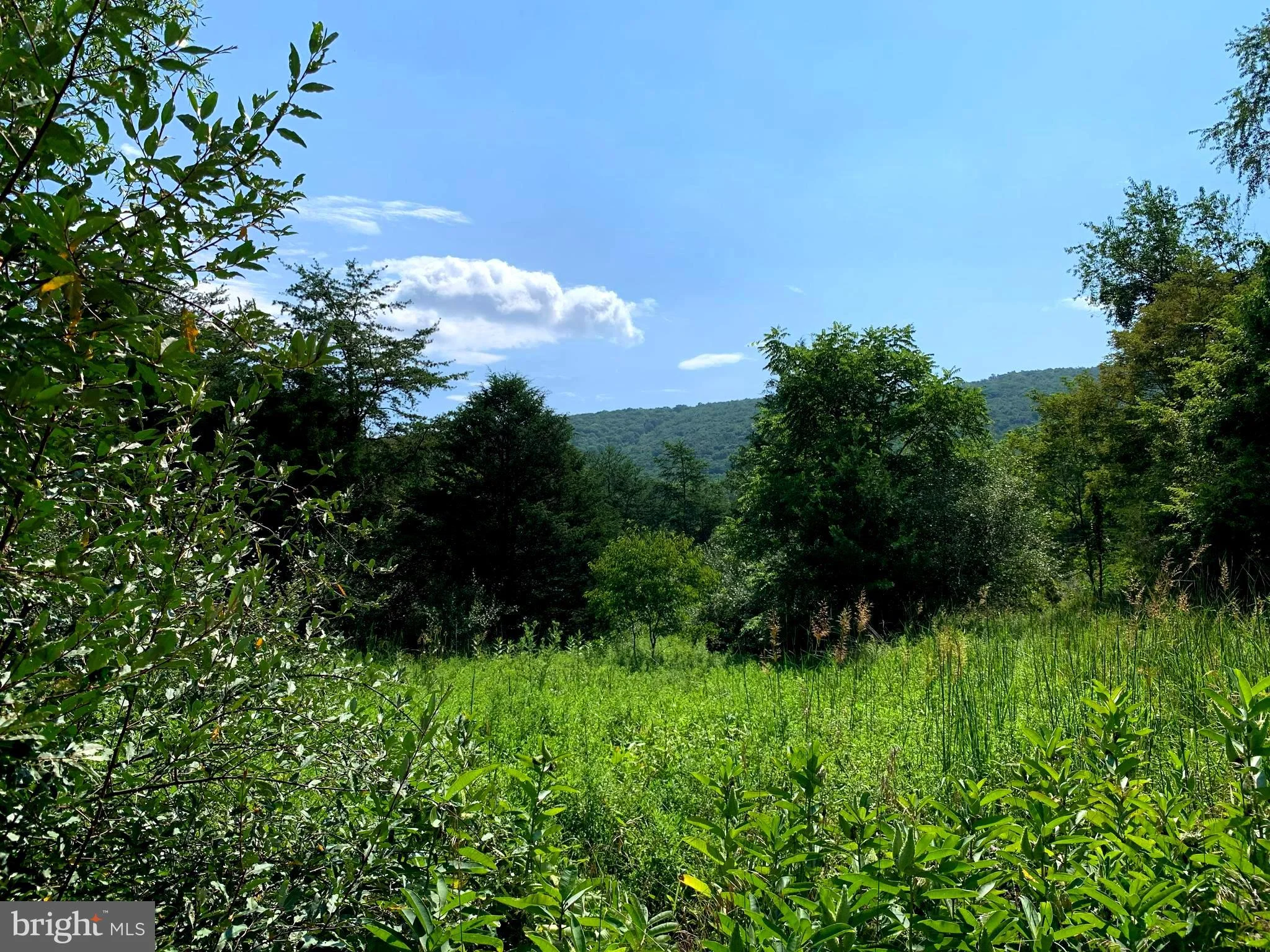 Foxes Hollow Road, Romney, WV 26757