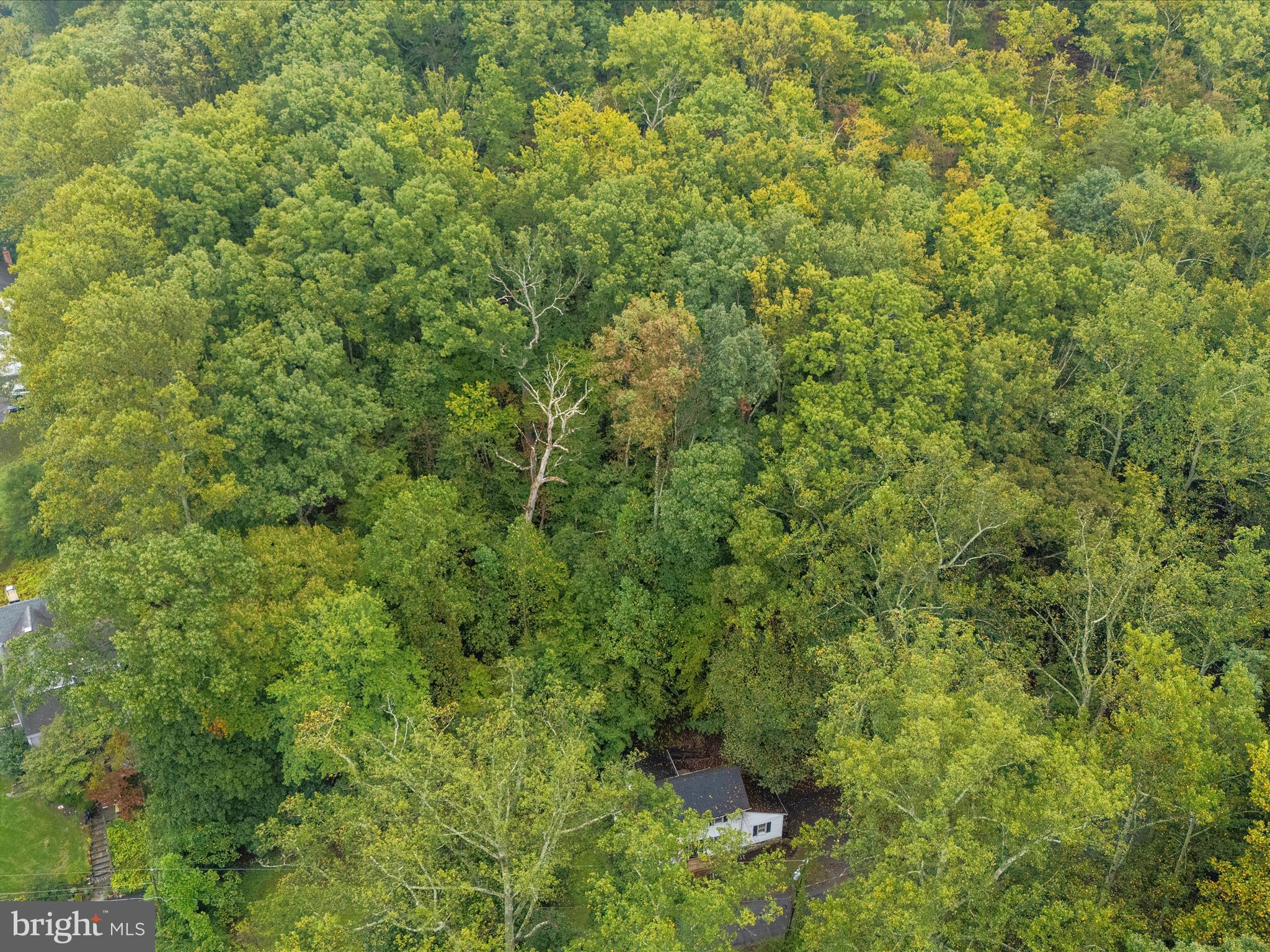 STEVENSON - Residential