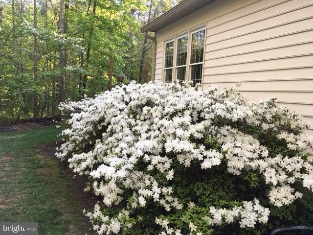 PINEHURST - Residential