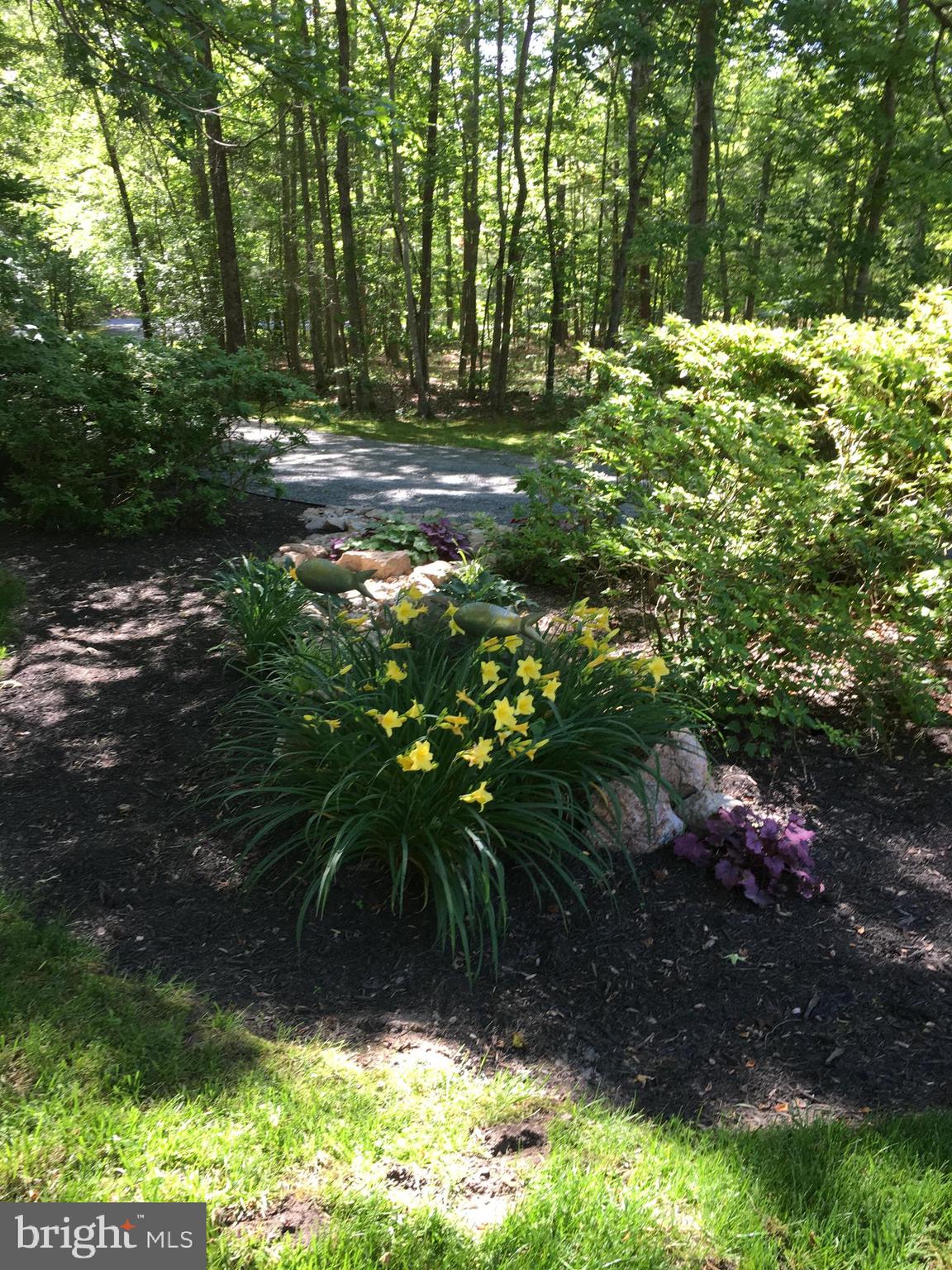 PINEHURST - Residential