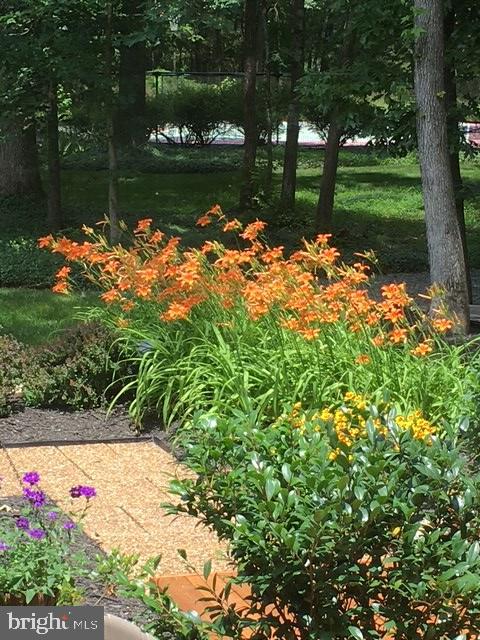 PINEHURST - Residential