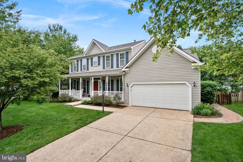 Homes For Sale - 21404 Chickacoan Trail Drive<br/> Loudoun County, BROADLANDS, VA 20148